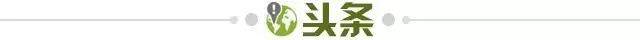 九游体育网页版-【早报】C罗首战告捷！葡萄牙补时绝杀捷克